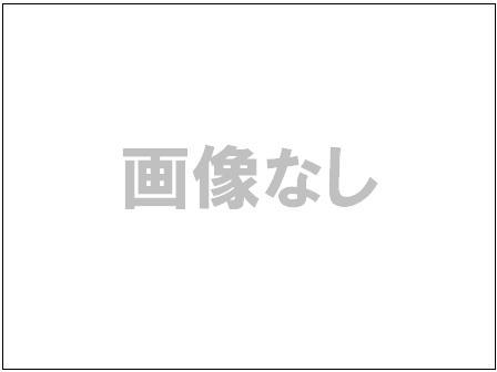 株式会社エース / 2311-096 中国西夏学术研究史*